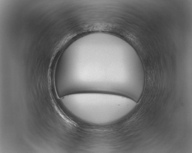 X0000060260678200510281009