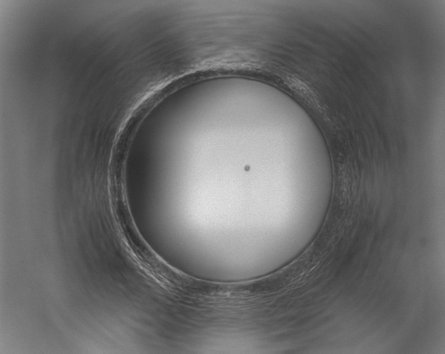 X0000060260680200510281009