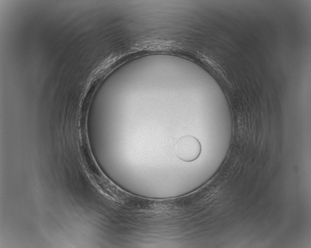 X0000060260682200510281009