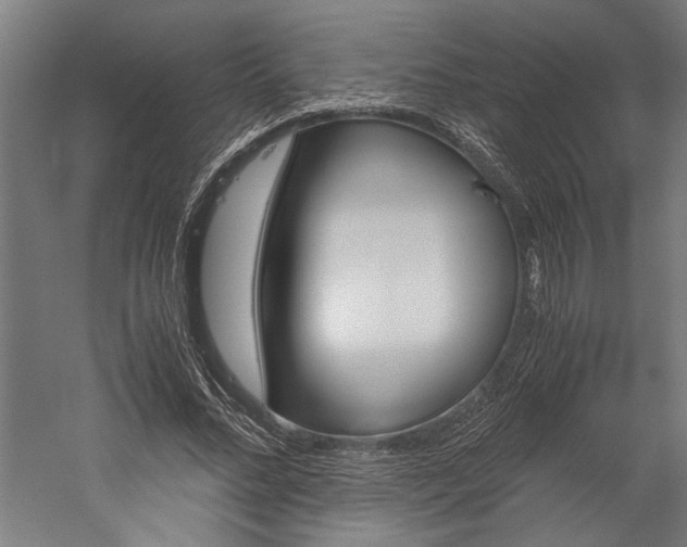 X0000060260684200510281009