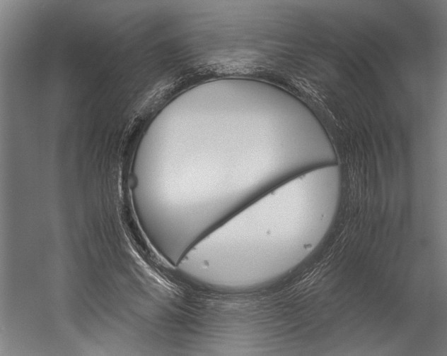 X0000060260686200510281009