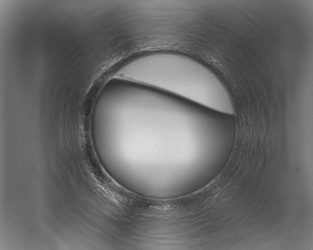X0000060260688200510281009