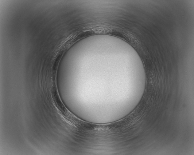 X0000060260690200510281009