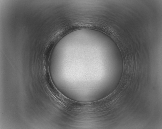 X0000060260692200510281009