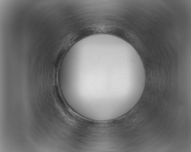 X0000060260694200510281009