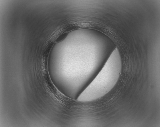 X0000060260696200510281009