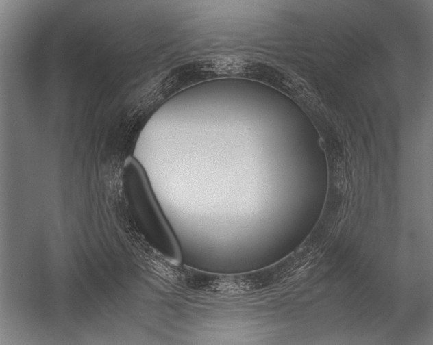X0000060260697200510281009