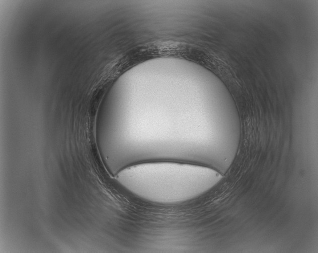 X0000060260698200510281009