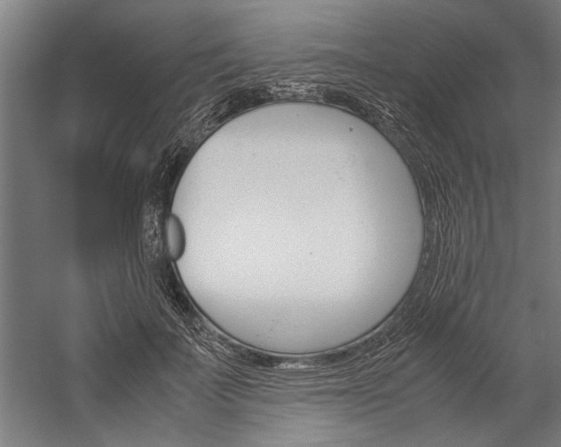 X0000060260699200510281009