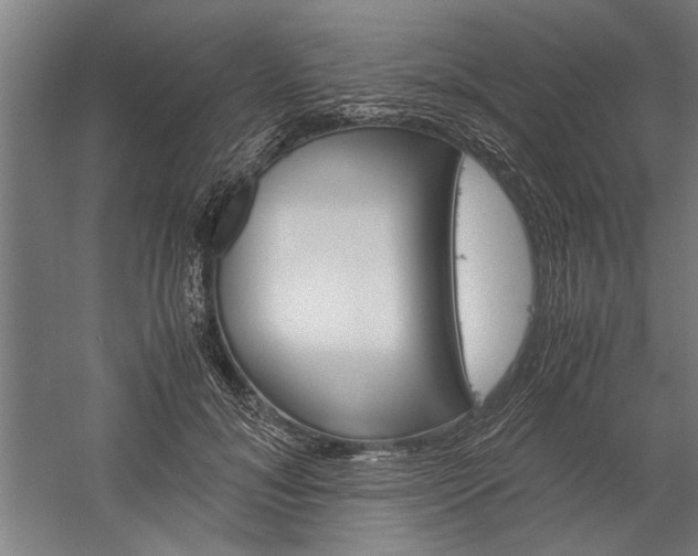 X0000060260700200510281009