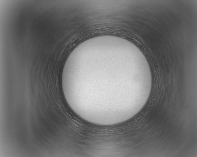 X0000060260701200510281009