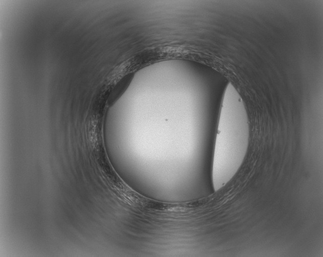 X0000060260708200510281009