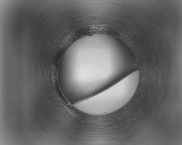 X0000060260712200510281009