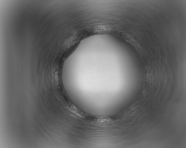 X0000060260716200510281009
