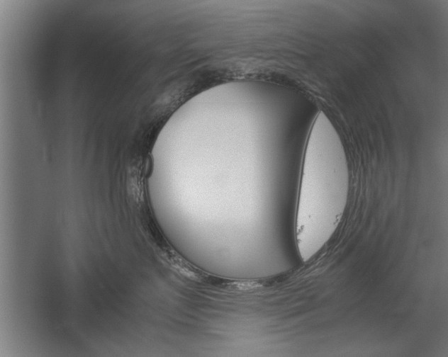 X0000060260719200510281009
