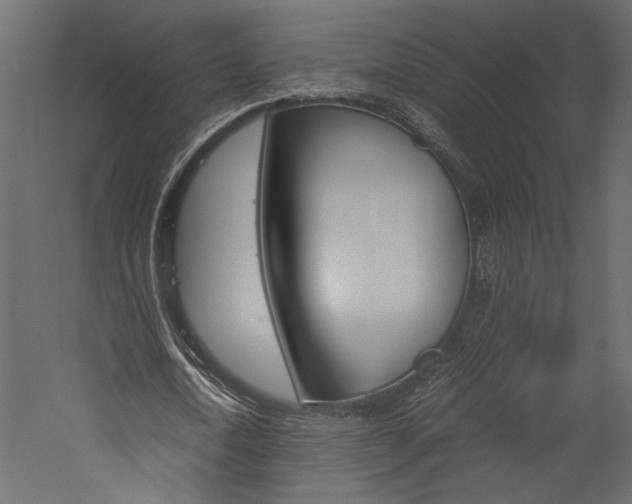 X0000060260722200510281008