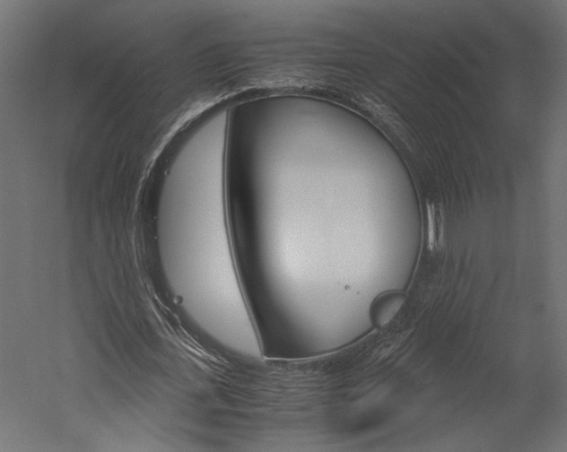 X0000060260723200510281008