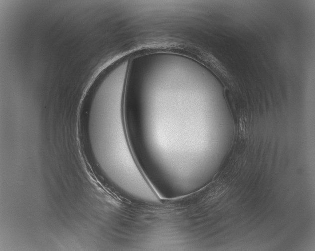 X0000060260724200510281008