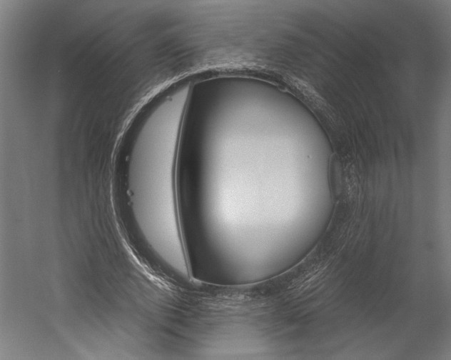 X0000060260728200510281008