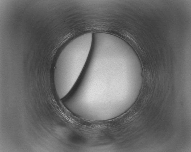 X0000060260729200510281008