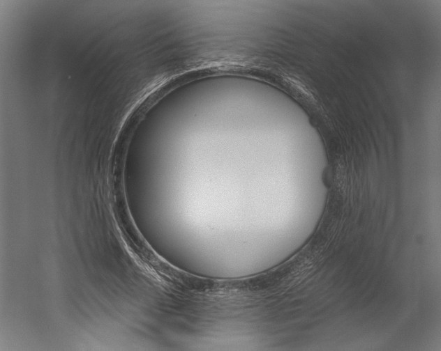 X0000060260730200510281008