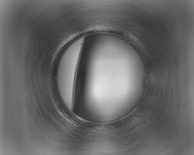 X0000060260732200510281008