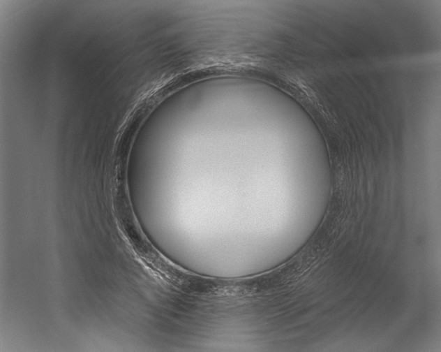 X0000060260736200510281008