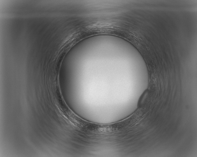 X0000060260744200510281008