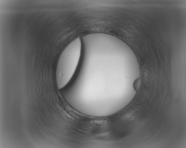 X0000060260745200510281008