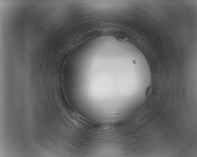 X0000060260750200510281008