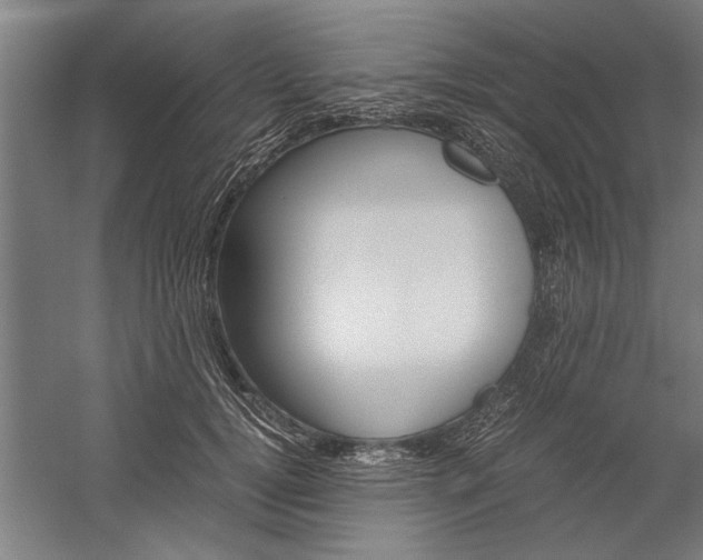 X0000060260752200510281008