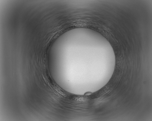 X0000060260755200510281008