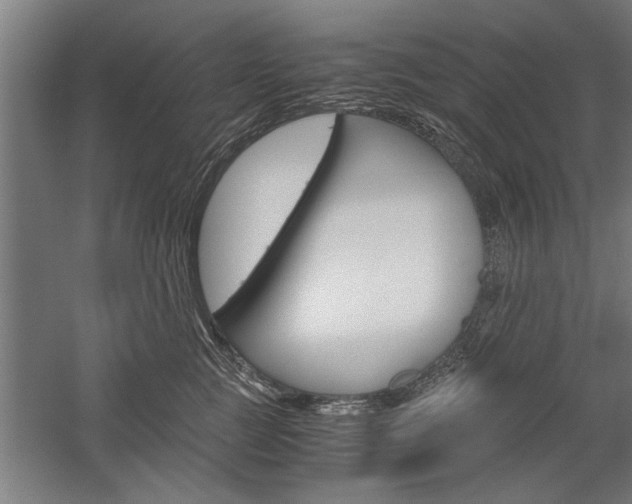 X0000060260761200510281009