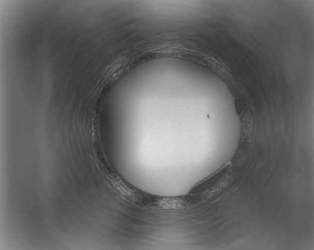 X0000060260762200510281009