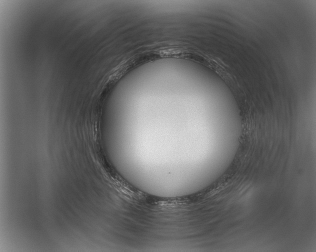 X0000060260763200510281009