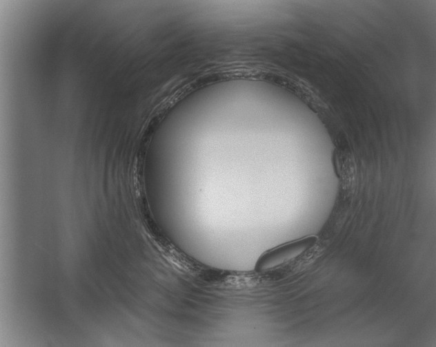 X0000060260764200510281009