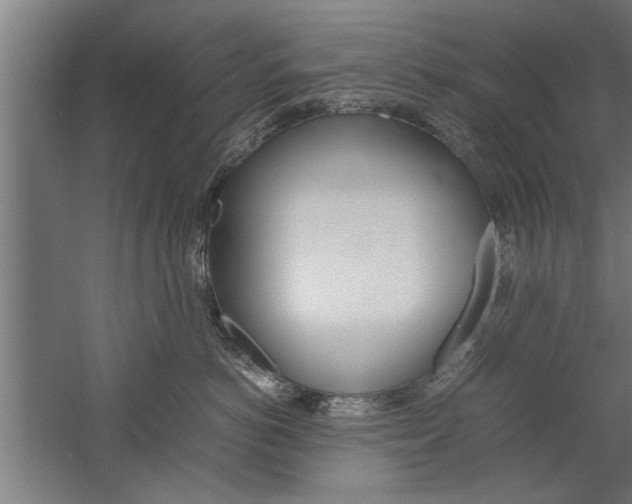 X0000060260766200510281009