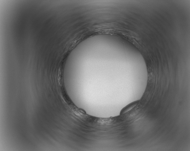 X0000060260767200510281009