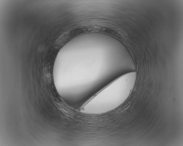 X0000060260771200510281008