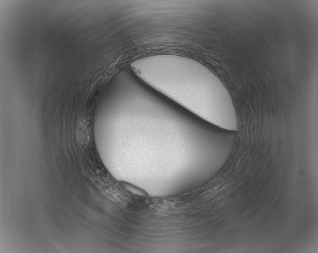 X0000060260772200510281008