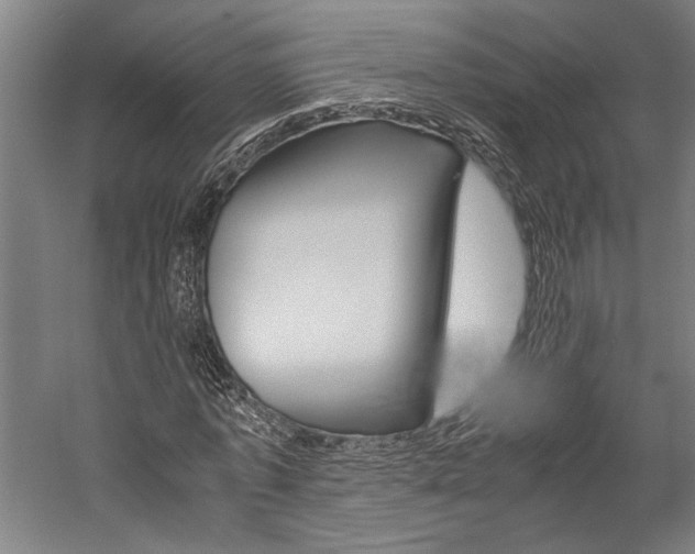 X0000060260773200510281008