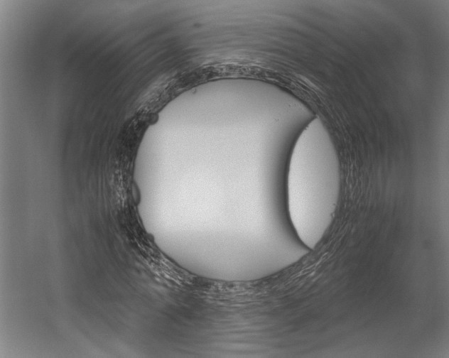 X0000060260774200510281008