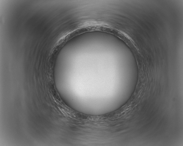 X0000060260775200510281008