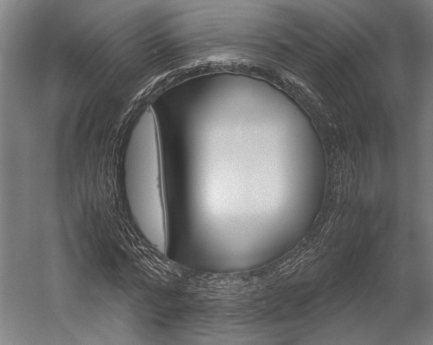 X0000060260776200510281008