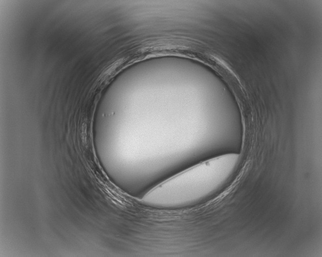 X0000060260777200510281008