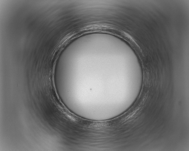 X0000060260778200510281008