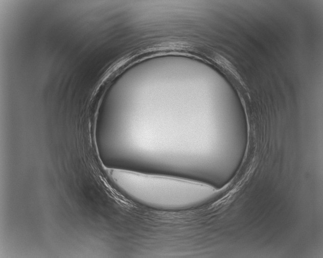 X0000060260781200510281008