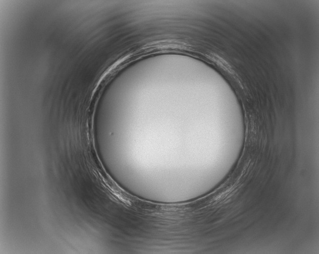 X0000060260782200510281008