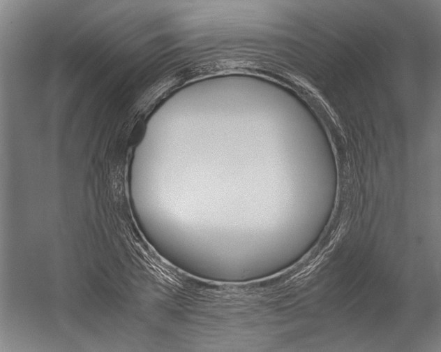 X0000060260785200510281008