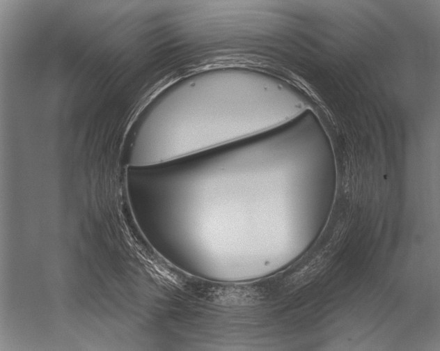 X0000060260786200510281008